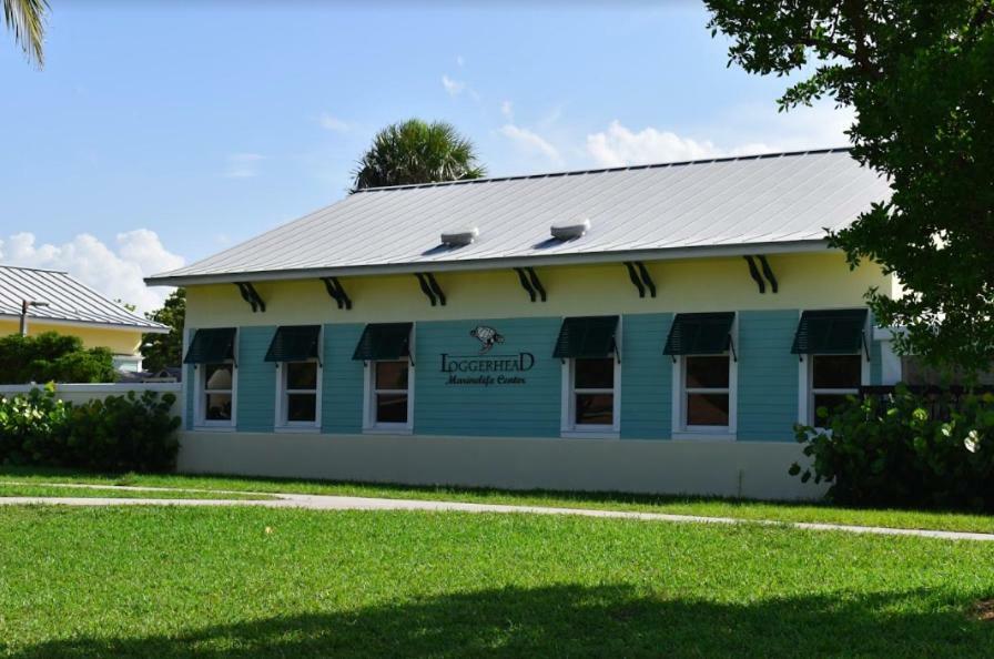 Jupiter Waterfalls - Newly Updated - Tiki Hut, Fire Pit, Kitchen, Pool Heater And More Exterior photo